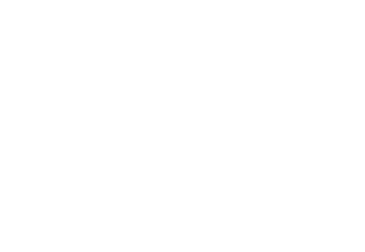 JFS Logo